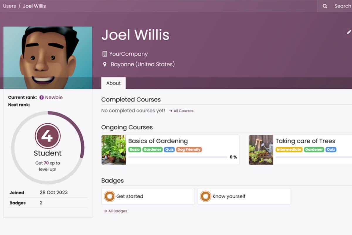 Canvas alternative Odoo