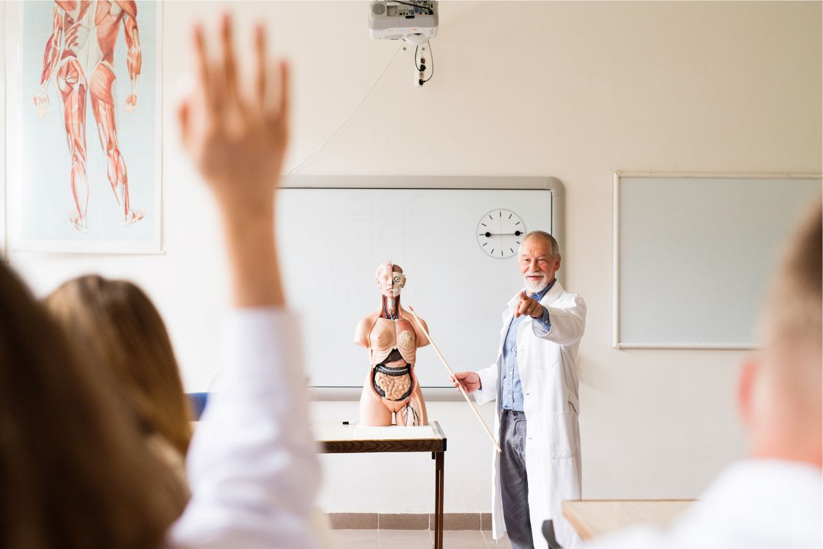 an example of demostrative teaching