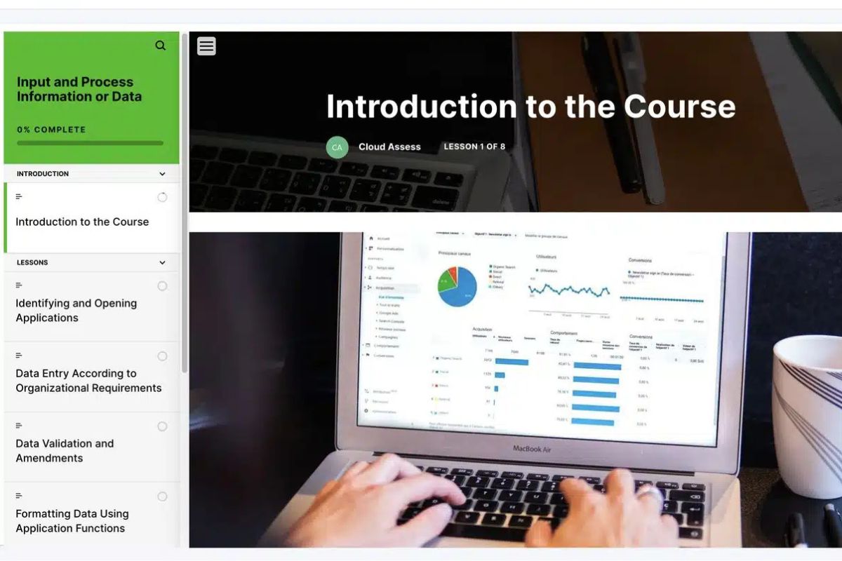 Input and process information or data course