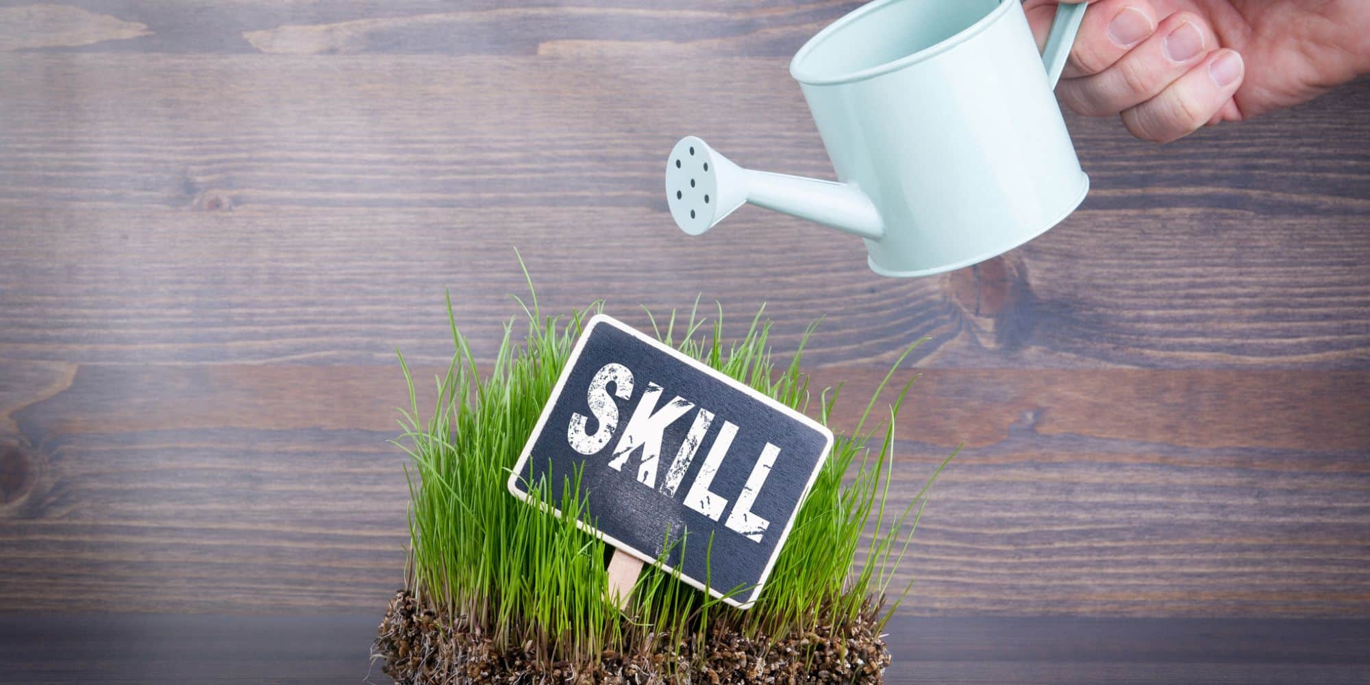 Skills-Framework