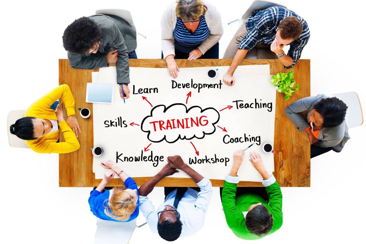 Training-Program-in-Skills-Taxonomy