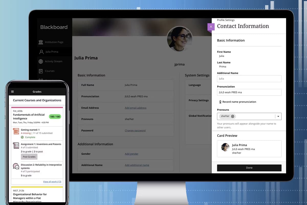 an example of blackboard learn's virtual learning environments
