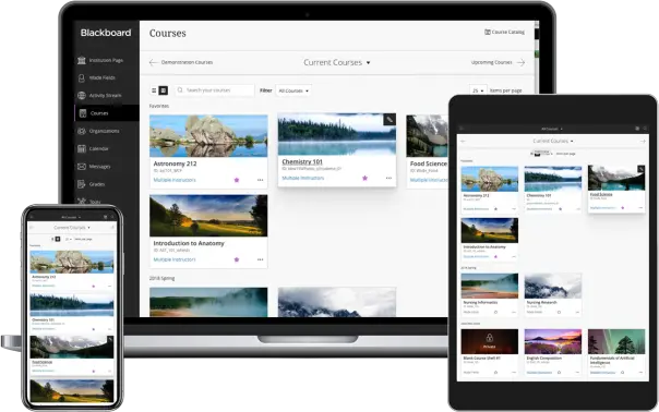 blackboard learn as example of easy lms alternative