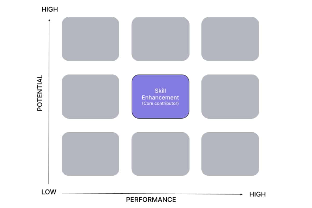 core contributors 9 box talent grid