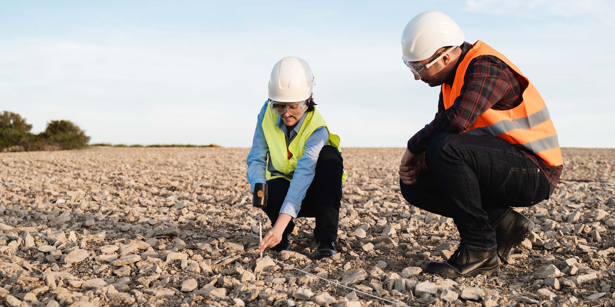 employees assessing land