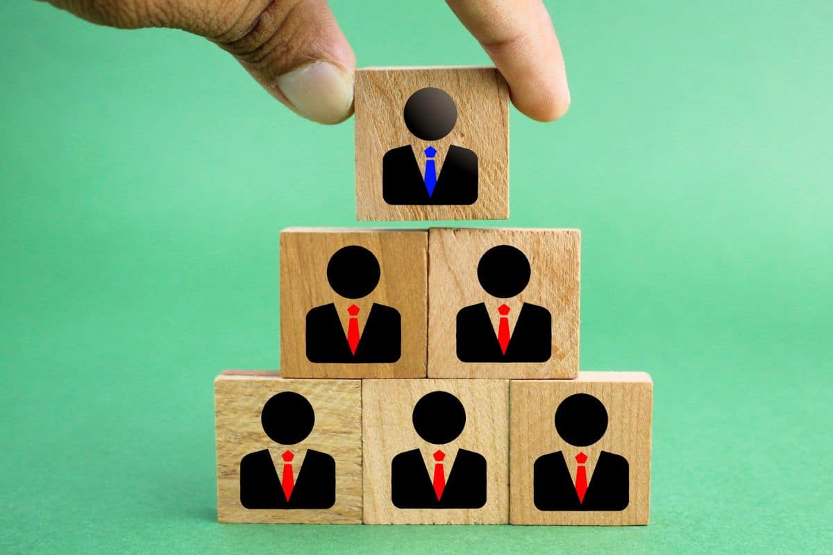 talent management diagram